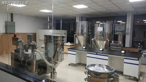 龍蟠科技研究院鋰電池材料研發中心正式啟用