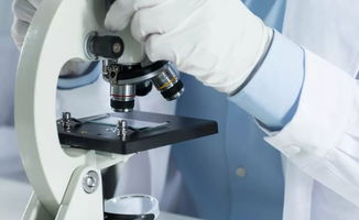 酒香還怕巷子深